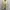 Indie Coquette Cardigan Wanita cream photo 1