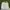 Vintage Streetwear Short Pria white photo 3