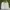 Vintage Streetwear Short Pria white photo 2