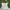 Vintage Streetwear Short Pria white photo 1