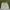Puma Streetwear Sportswear Short Pria cream photo 2