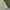 Puma Streetwear Sportswear Short Pria cream photo 3