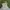 Puma Streetwear Sportswear Short Pria cream photo 1