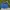 Champion Sportswear Short Pria blue photo 2