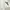 Polo Ralph Lauren Casual Shirt Wanita white photo 2