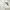 Polo Ralph Lauren Casual Shirt Wanita White