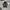 Onitsuka Tiger Streetwear Skater Casual shoe Pria white black photo 2