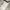 Skechers Streetwear Casual Hoody Pria silver photo 4