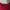 New Balance Streetwear Casual Sweatshirt Pria red photo 3