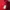 New Balance Streetwear Casual Sweatshirt Pria red photo 4