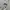 Champion Streetwear Casual Hoody Pria gray photo 2