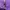 Jack Wolfskin Gorpcore Track jacket Pria purple navy photo 5
