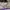 Jack Wolfskin Gorpcore Track jacket Pria purple navy photo 7