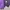 Jack Wolfskin Gorpcore Track jacket Pria purple navy photo 6