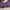 Jack Wolfskin Gorpcore Track jacket Pria purple navy photo 8
