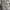 Minimalist Casual Fleece Pria white gray photo 4