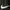 Nike Streetwear Casual Sweater Pria black photo 5