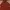 Streetwear Casual Going out dress Wanita brown photo 4