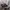 Streetwear Casual Sweater Pria silver photo 4