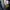 Adidas Streetwear Pria multicolor photo 5