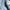 Alexander Wang Casual Formal shirt Pria blue photo 3