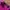 Adidas Streetwear Sportswear Track jacket Pria pink photo 2