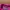 Adidas Streetwear Sportswear Track jacket Pria pink photo 3