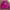 Adidas Streetwear Sportswear Track jacket Pria pink photo 1