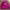 Adidas Streetwear Sportswear Track Jacket Pria Pink