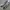 Adidas Skater Sportswear Sneakers Pria white black photo 3