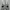 Adidas Skater Sportswear Sneakers Pria white black photo 4