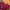 Nike Streetwear Sportswear Jersey Pria Red