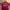 Nike Streetwear Sportswear Jersey Pria Red