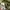 Kangol Streetwear Casual T-shirt Pria tan photo 8