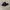 Nike Streetwear Casual Sneakers Pria white black photo 1