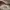 Burberry Y2K Luxury Shoulder bag Wanita tan pink photo 7