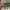 Burberry Y2K Luxury Shoulder bag Wanita tan pink photo 6