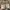 Burberry Y2K Luxury Shoulder Bag Wanita Tan Pink