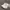 Nike Streetwear Sportswear Sneakers Pria white photo 1
