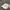 Nike Streetwear Sportswear Sneakers Pria White
