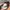 Gorpcore Sportswear Sweatpants & Joggers Pria green photo 4