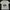 Adidas Sportswear Casual T-shirt Pria white photo 4