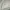 Minimalist Bomber jacket Kids multicolor white photo 2