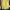 Love Bonito Coquette Casual Blouse Wanita yellow photo 3