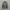 Dickies Casual Sweater Pria gray photo 1