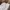 Minimalist Casual Culotte Wanita white photo 4