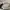 Nike Vintage Sportswear Hat Pria tan photo 7