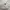 Nike Vintage Sportswear Hat Pria tan photo 5