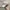 Nike Vintage Sportswear Hat Pria tan photo 2