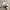 Nike Vintage Sportswear Hat Pria tan photo 4